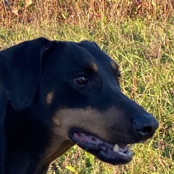 Meet your Posher, Hilda - Picture 1 of 1